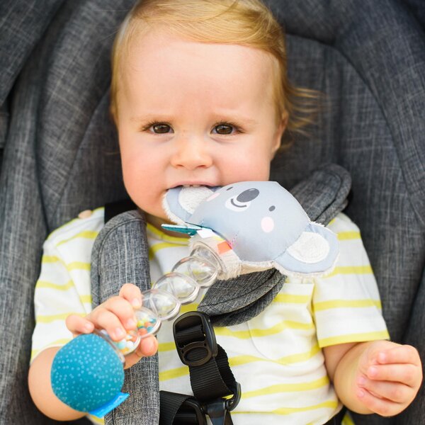 Taf Toys Koala Rainstick - Taf Toys