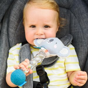 Taf Toys Koala Rainstick - Taf Toys