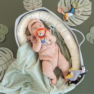 Taf Toys lavinamasis žaislas Harry the Lion - Taf Toys