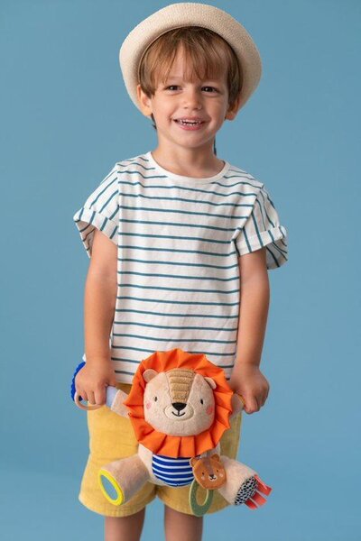 Taf Toys lavinamasis žaislas Harry Lion - Taf Toys