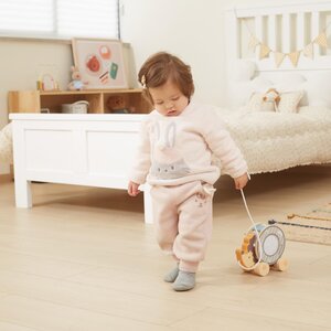 PolarB Hedgehog w/ Sorting Wheel - PolarB