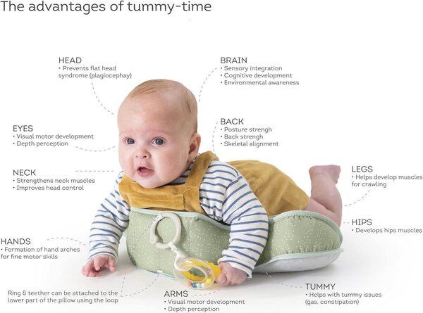 Taf Toys Tummy-time pillow Savannah - Taf Toys