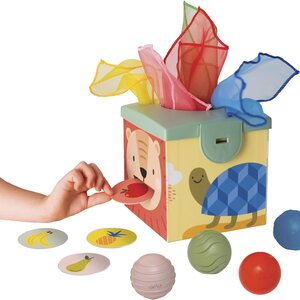 Taf Toys lavinamasis žaislas Magic box - Taf Toys