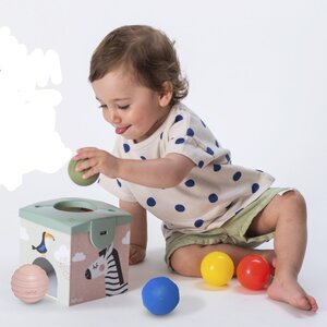 Taf Toys lavinamasis žaislas Magic box - Taf Toys