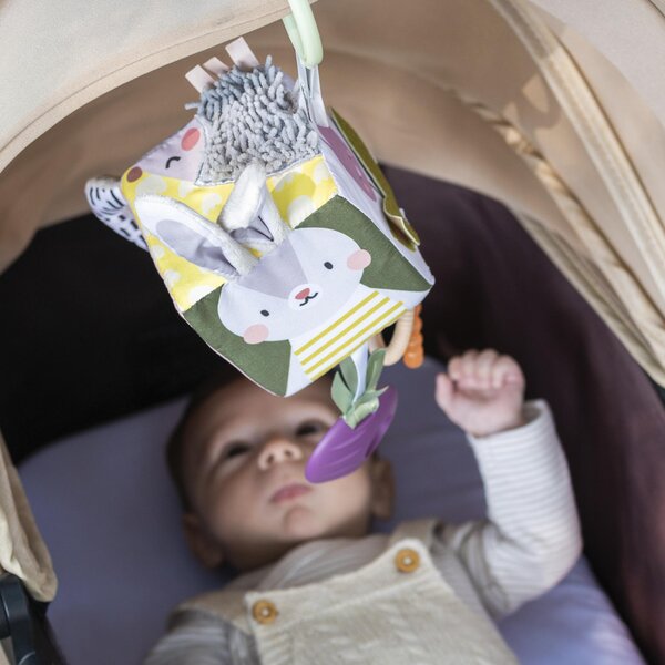 Taf Toys activity cube Urban Garden - Taf Toys