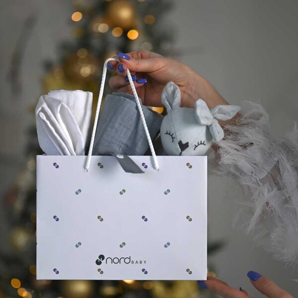 Nordbaby Gift bag  22x16 NB Logopattern A5 - Nordbaby