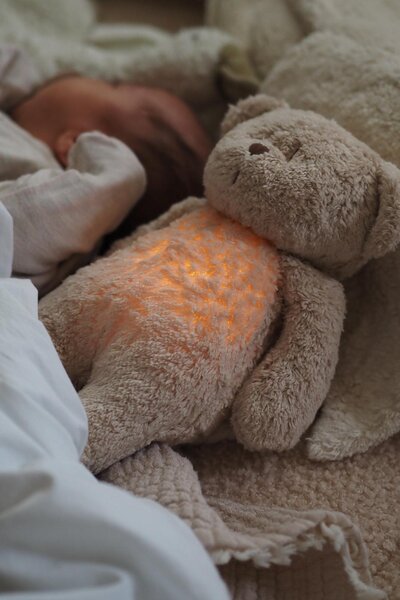 Moonie organic humming bear with nightlight Polar - Moonie