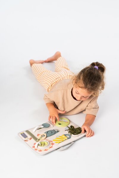 Taf Toys educational toy Snap and Learn  - Taf Toys