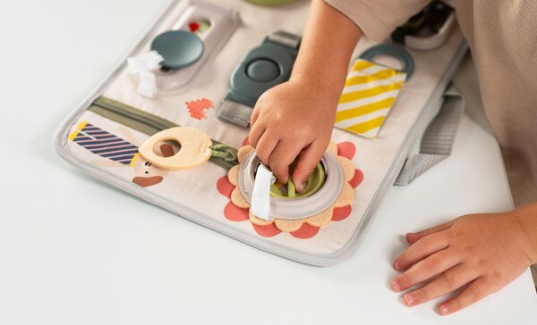 Taf Toys educational toy Snap and Learn  - Taf Toys