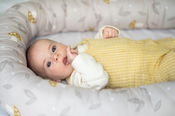 Taf Toys Little Explorer Lounger - Taf Toys