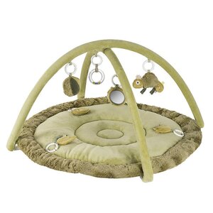 Fehn 3-D развивающий коврик, Chameleon - Fehn