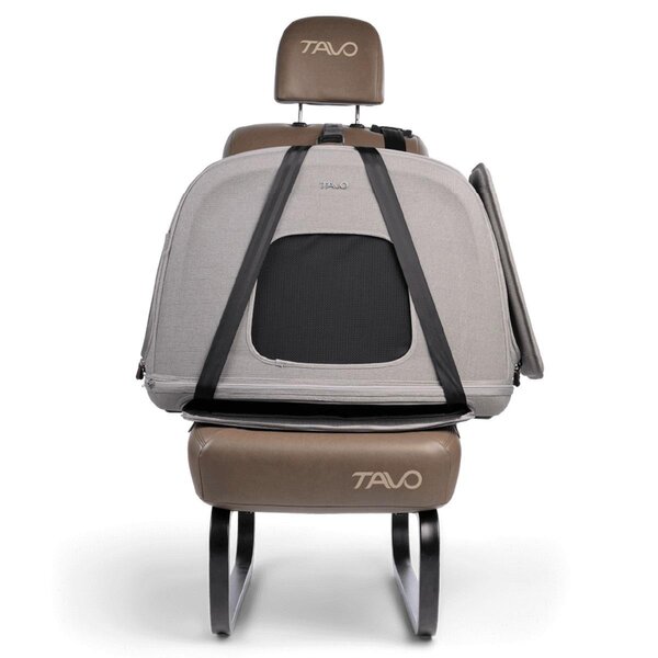 Tavo Pet Protection System Crispin M, Merle - Tavo