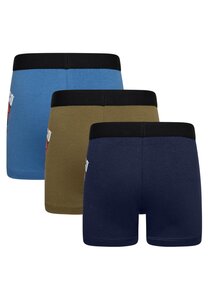 Legowear underwear Lwaiko 101 - Legowear