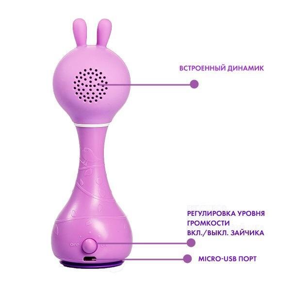 educational toy Alilo R1 (RU) Purple - Alilo
