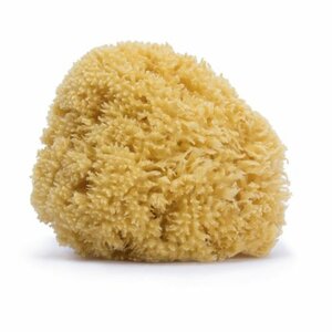Suavinex Large natural sponge - BabyOno