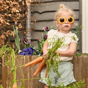 Dirkje Shorts - Dirkje