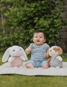 Teddykompaniet мягкая игрушка 22cm, Dog with Dungarees  - Teddykompaniet