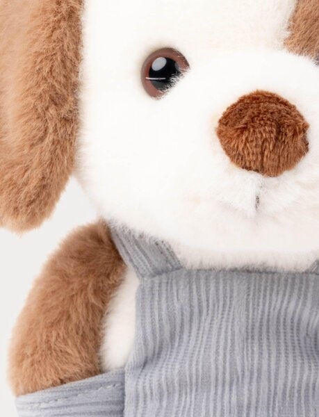 Teddykompaniet мягкая игрушка 22cm, Dog with Dungarees  - Teddykompaniet