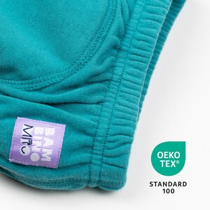 Bambino Mio potty training pants Teal - Bambino Mio